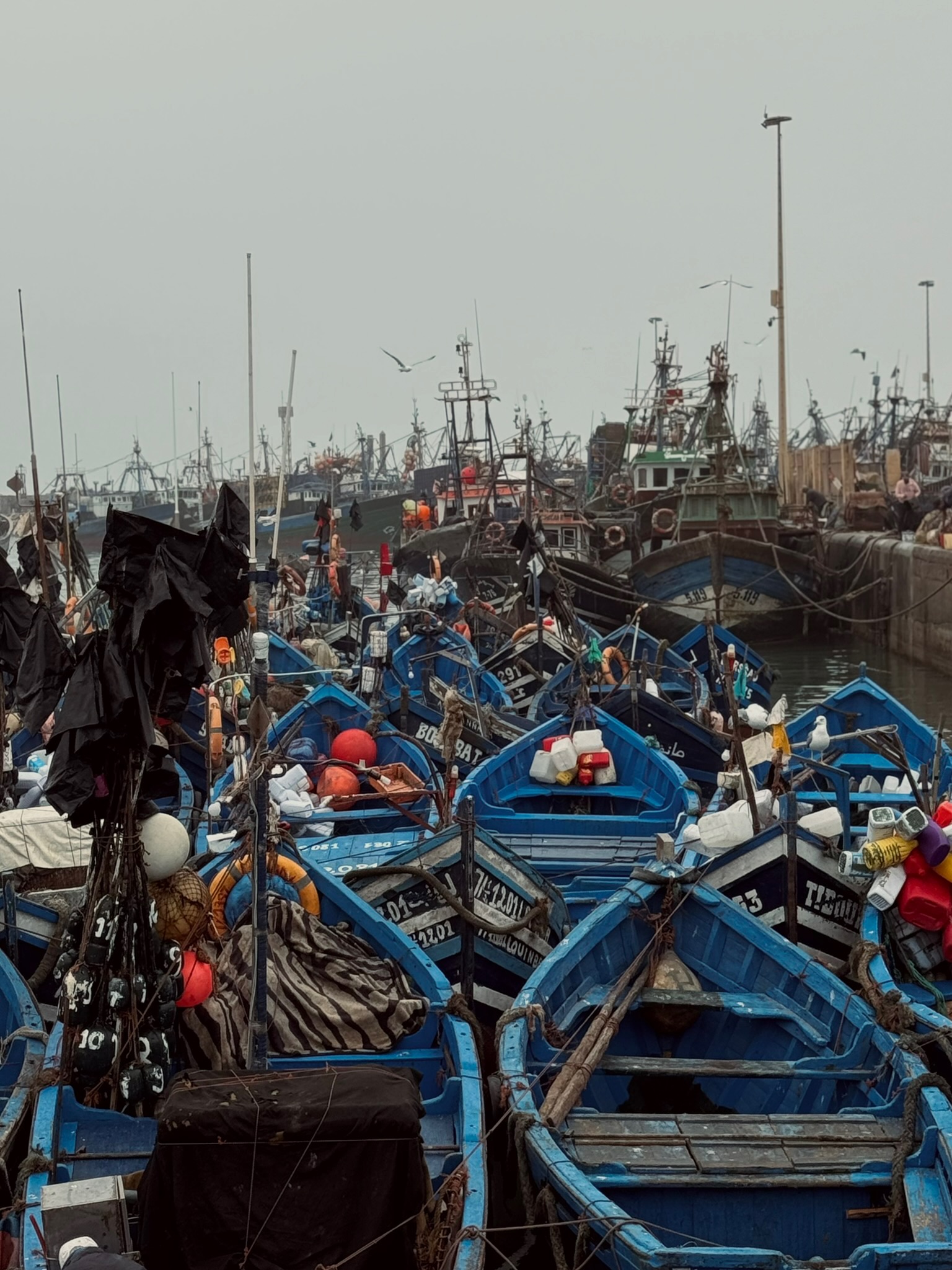 Essaouira harbour