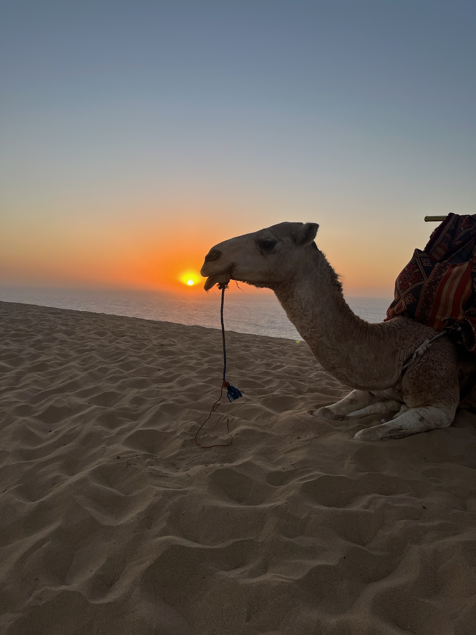 Morocco