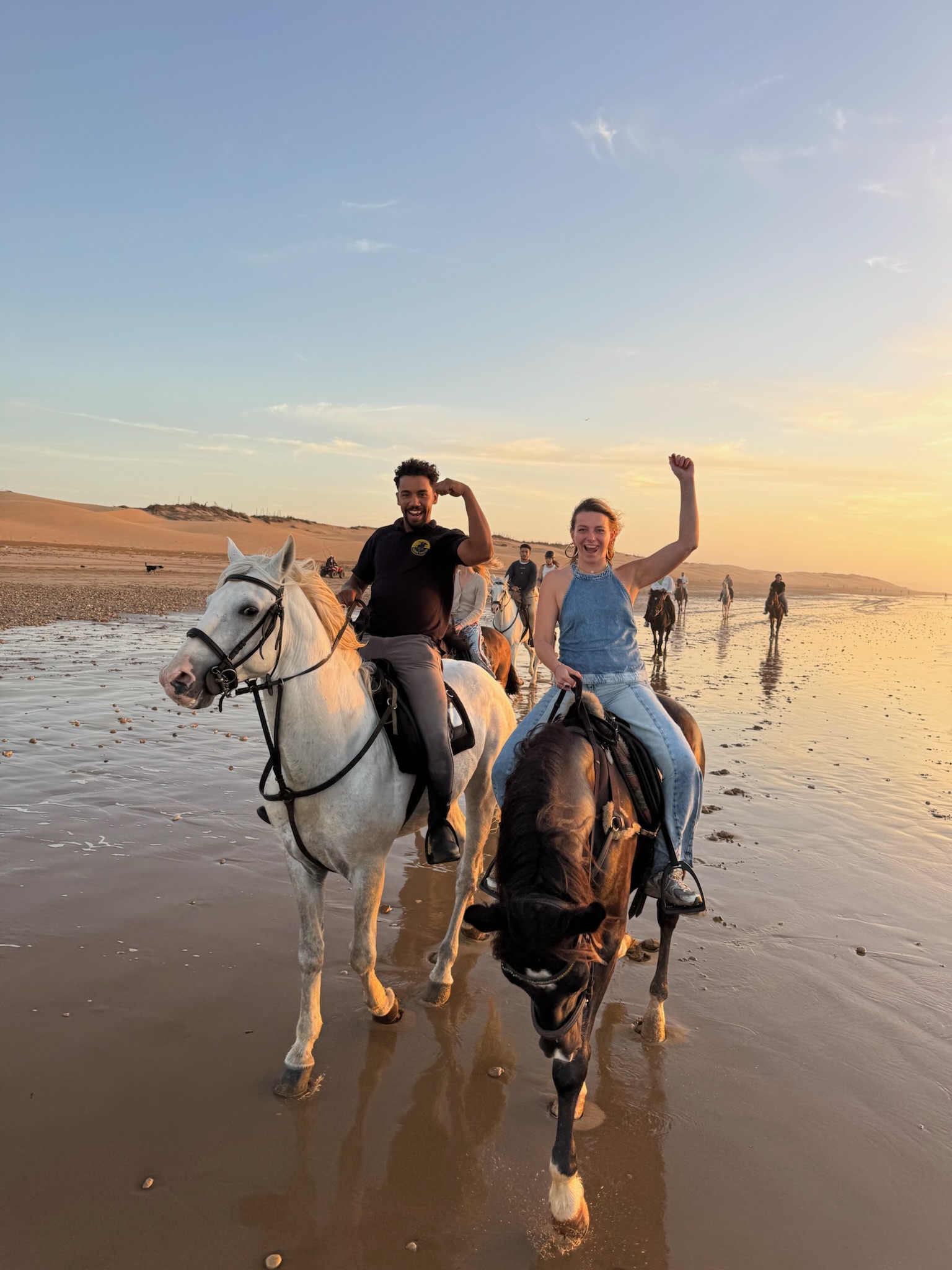 Sunset horse